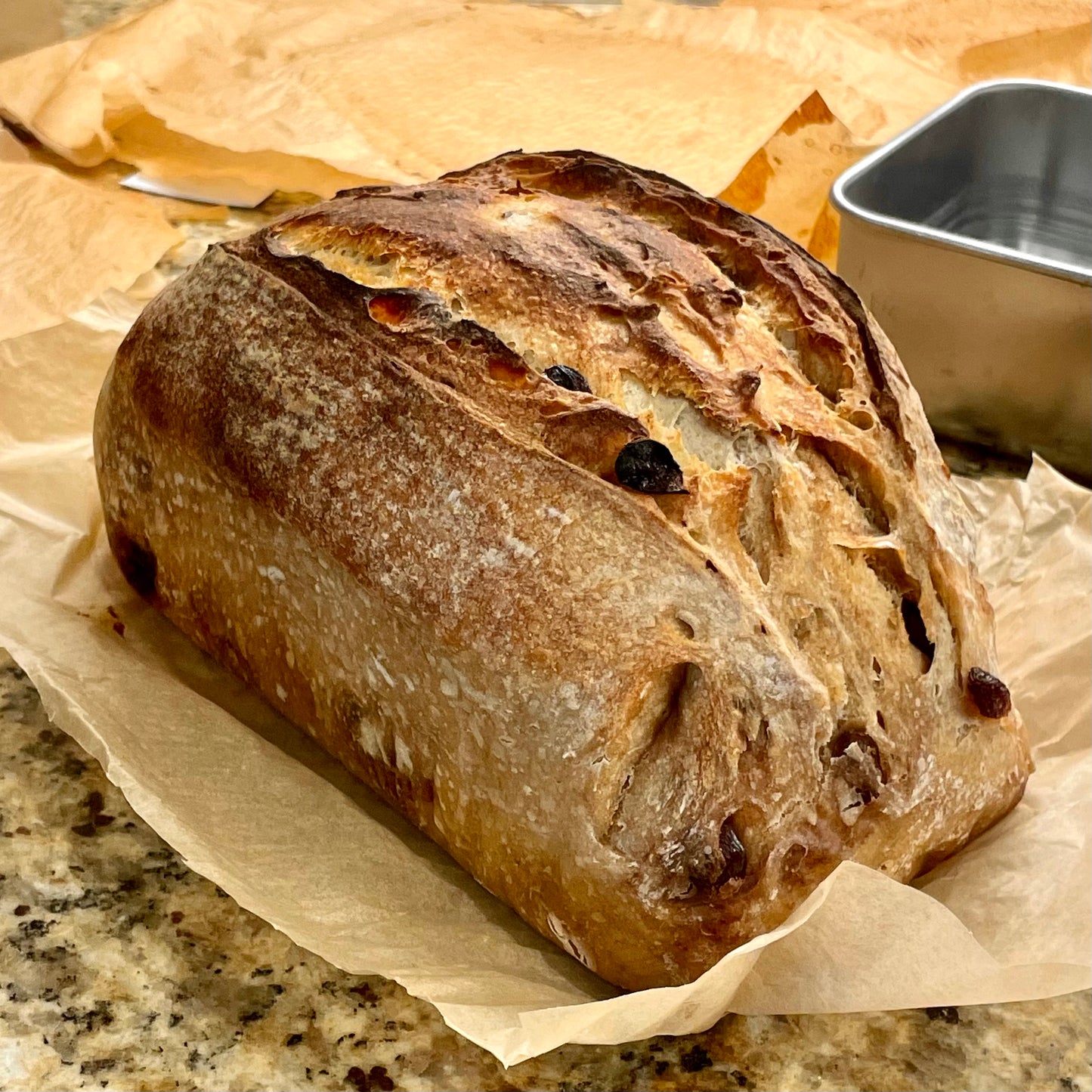 Cinnamon Raisin Sourdough Loaf (Organic ingredients)