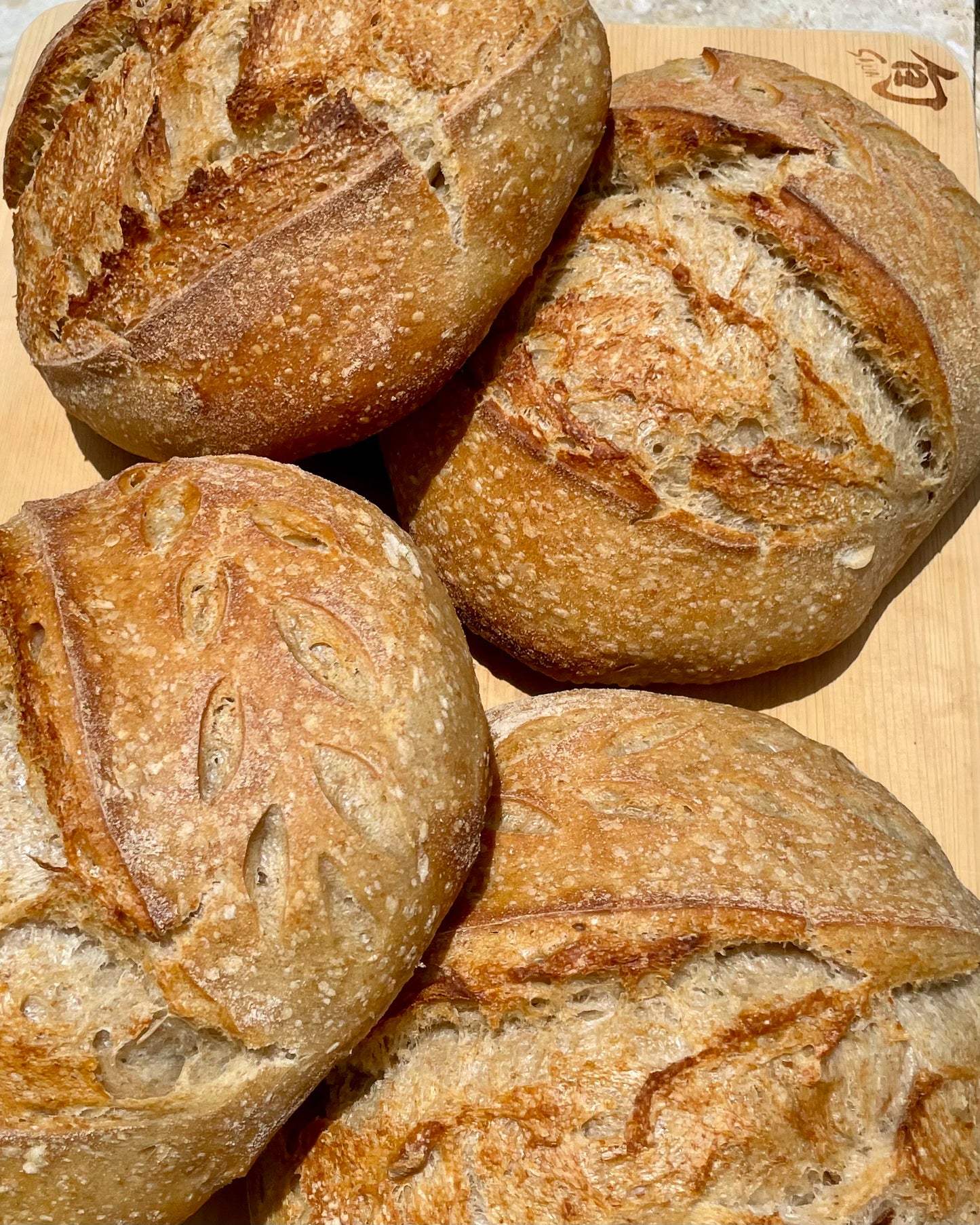 Plain Sourdough Loaf (Organic ingredients)