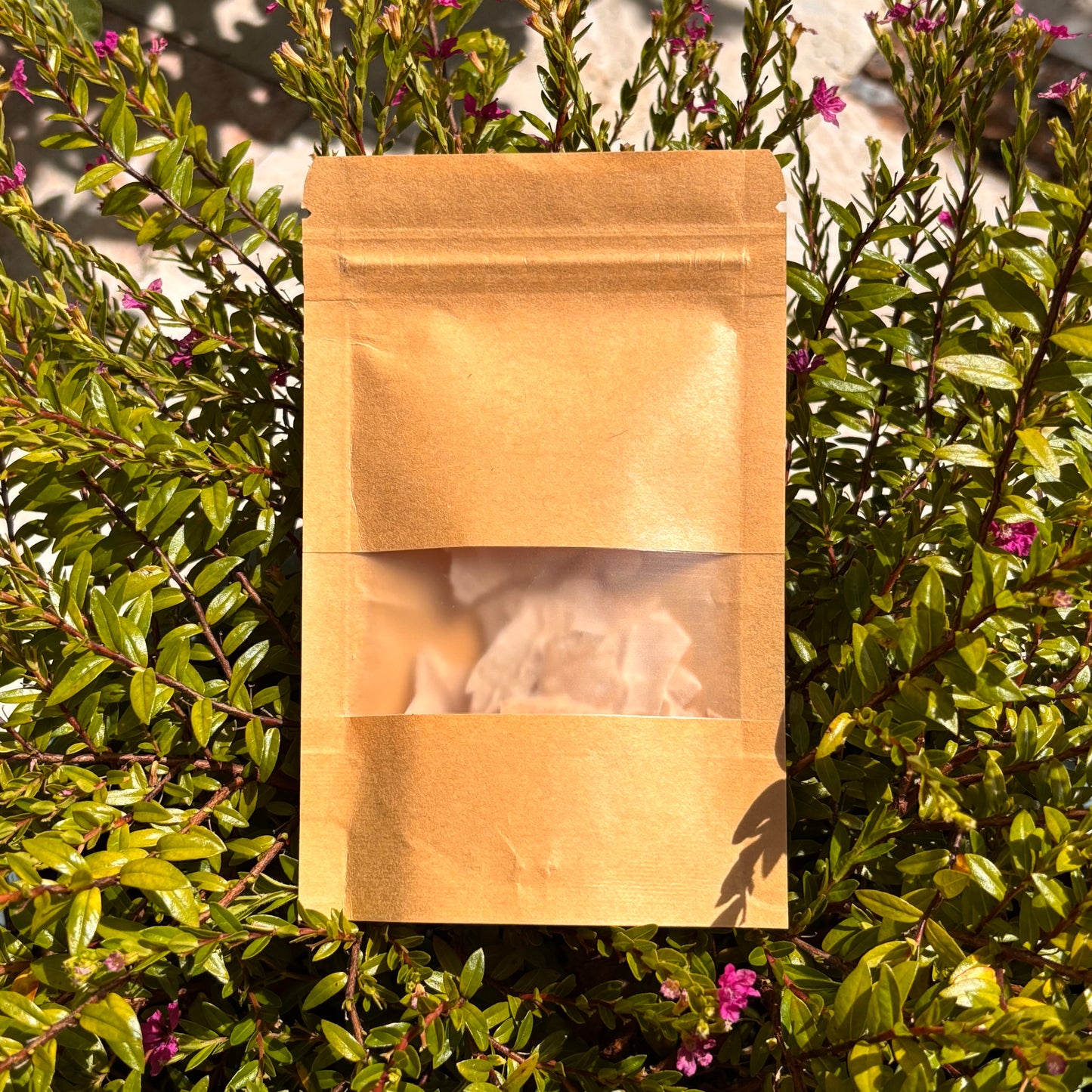 Organic Dehydrated Sourdough Starter